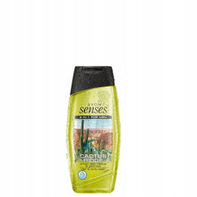 Load image into Gallery viewer, Avon Senses 2 in 1 For Men Cactus Ridge Prickly Pear Cactus & Patchouli Hair & Body Wash - 250ml