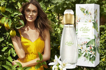 Load image into Gallery viewer, Avon Celebre Fresh Eau De Toilette - 50ml