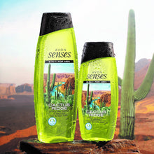 Load image into Gallery viewer, Avon Senses 2 in 1 For Men Cactus Ridge Prickly Pear Cactus &amp; Patchouli Hair &amp; Body Wash - 250ml
