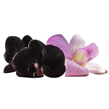 Load image into Gallery viewer, Avon Rare Flowers Night Orchid Eau de Parfum Purse Spray - 10ml
